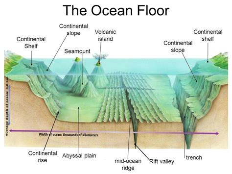parts of the ocean floor definitions